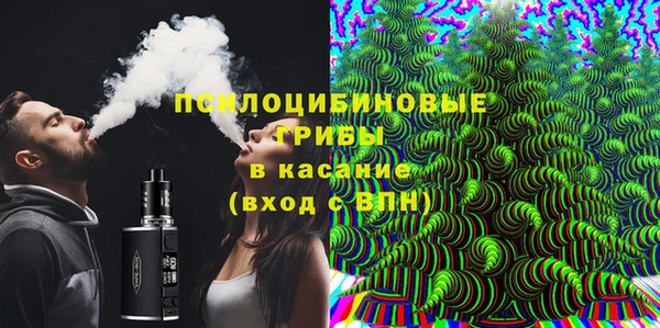 соль ск Абаза