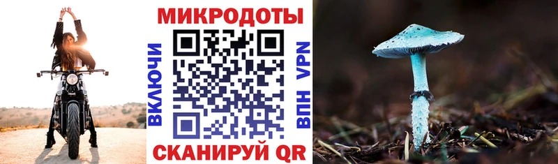 блэк спрут как зайти  Рыльск  Галлюциногенные грибы Psilocybe 